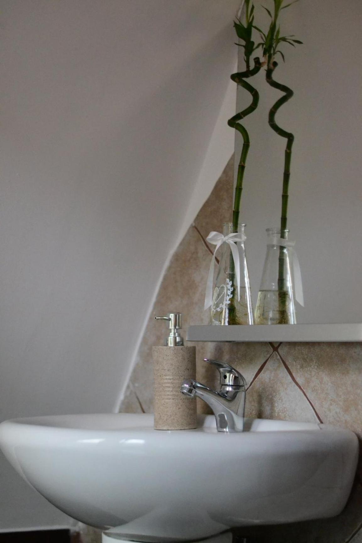 Vila Florilor Busteni Ngoại thất bức ảnh
